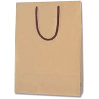 gdhjn@񂰎܁@J[`[obO@N