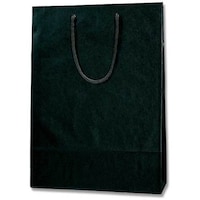 gdhjn@񂰎܁@J[`[obO@@