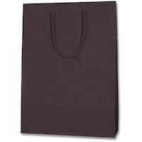 gdhjn@񂰎܁@J[`[obO@u