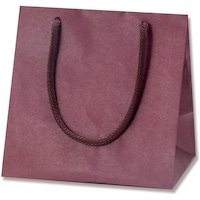 �g�d�h�j�n�@��񂰎��܁@�J���[�`���[���o�b�O�@�G��