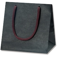 gdhjn@񂰎܁@J[`[obO@@