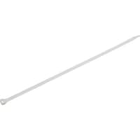 �i�`�o�o�x�@�i�`�o�o�x�����o���h�i�T�O�{���j