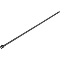 �i�`�o�o�x�@�i�`�o�o�x�����o���h�i�Q�T�{���j