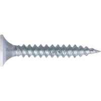 �v�`�j�`�h�@�y�V�ꔭ�r�X�@���b�p�@�J���[�@�R�D�T�w