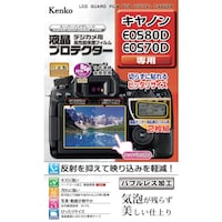 �j���������@�t���ی�t�B�����@�L���m���@�d�n�r�V��