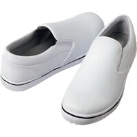 ACgX@ϖϊXj[J[zCgQUDT