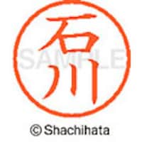 �V���`�n�^�@�l�[���U�@�����@�ΐ�