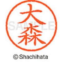 �V���`�n�^�@�l�[���U�@�����@��X