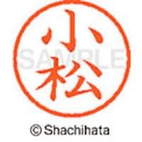 �V���`�n�^�@�l�[���U�@�����@����