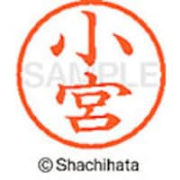 �V���`�n�^�@�l�[���U�@�����@���{