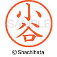 �V���`�n�^�@�l�[���U�@�����@���J