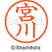 �V���`�n�^�@�l�[���U�@�����@�{��