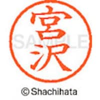 �V���`�n�^�@�l�[���U�@�����@�{��