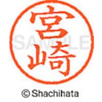 �V���`�n�^�@�l�[���U�@�����@�{��