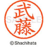 �V���`�n�^�@�l�[���U�@�����@����