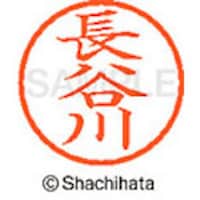 �V���`�n�^�@�l�[���U�@�����@���J��