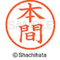 �V���`�n�^�@�l�[���U�@�����@�{��