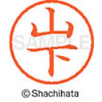 �V���`�n�^�@�l�[���U�@�����@�R��