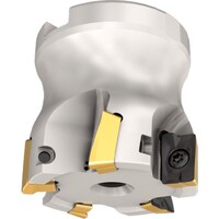 �C�X�J���@�t�F�[�X�~��