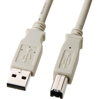 �r�`�m�v�`�@�t�r�a�P�[�u��