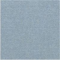 �T���R�[�@�����^�C���}�b�g�@�W�����@�������W�u���[