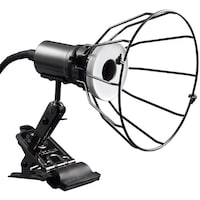 �x�`�y�`�v�`�@�h�J�^�d�Q�U�N���b�v���C�g�K�[�h�t��