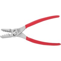 �i�s�b�@�z�[�X�o���h�v���C���[