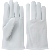 c@vNXg܁@ێw^iYiVvgpj