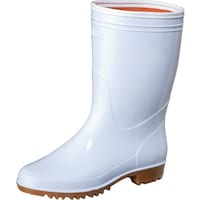 �O�i�S���@�]�i�f�R�@�ϖ��@�E���^�����@���@�Q�W�D�O����