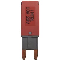 �i�s�b�@�u���[�J�[�q���[�Y�@�P�O�`