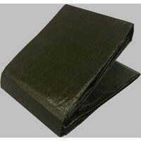 ���^�J���C�N�@�l�I�G�R�V�[�g�@�P�O�����P�O��