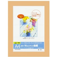 �i�J�o���V�@�J���[�u�J�b�g�䎆�`�S���^�I�����W�^�u