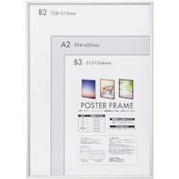 �i�J�o���V�@�A���~���|�X�^�[�t���[���@�a�Q�@�V���o