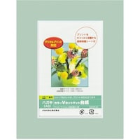 �i�J�o���V�@�J���[�u�J�b�g�䎆�`�U���^�O���[���^�u