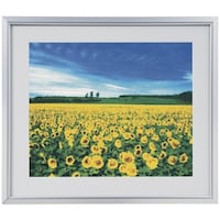 �i�J�o���V�@�A���~���y�ʎʐ^�z�^�V���o�[�^�l�c��