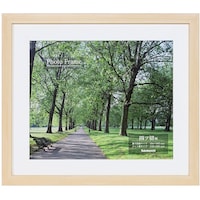 �i�J�o���V�@�������ʐ^�z�@�l�c�؁^�i�`������