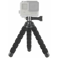 �t�H�g�v���@�t���L�V�u���O�r