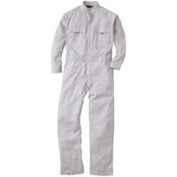 �K�a�@�X�O�O�O�@�Ȃ��@�V���o�[�O���[�@�S�k