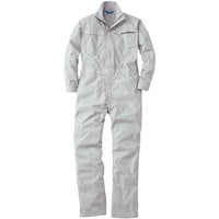 �K�a�@�R�X�O�P�O�@�Ȃ��@�V���o�[�O���[�@�k