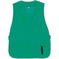 �A�C�g�X�@�x�X�g�^�V���[�g�G�v�����@�~���g�O���[���@�t���[�@�`�y�W�O�W�Q�O�R�T�e�@�P��