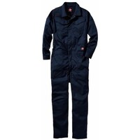 ���K�E�F�A�@��R�c�i�M�@�k�@�l�C�r�[