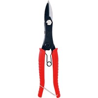 ���g�R�}�@�l�j�j�@�{�̓L���O�J�b�^�[