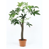 sfՁ@ϗtA@pL@p̖؃^Cv