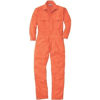 �K�a�@�X�W�O�O�@�Ȃ��@�I�����W�@�r