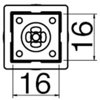 �����@�m�Y���^�a�f�`�@�P�T�l�l�~�P�T�l�l