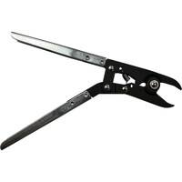 isb@u[cohc[@isbUPPR@P