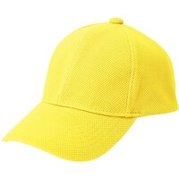 �A�C�g�X�@�y�ʃu���[�Y�L���b�v�i�j�����p�j�@�C�G��