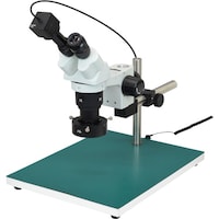 �g�n�y�`�m�@���̌������i�o�b�p�j