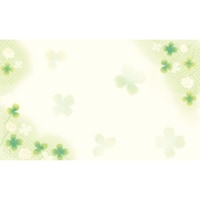 TTK@ono@V[J[h@hTCY@