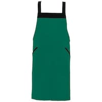 �A�C�g�X�@�����ăG�v�����@�`�y�W�U�T�S�@�O���[���@